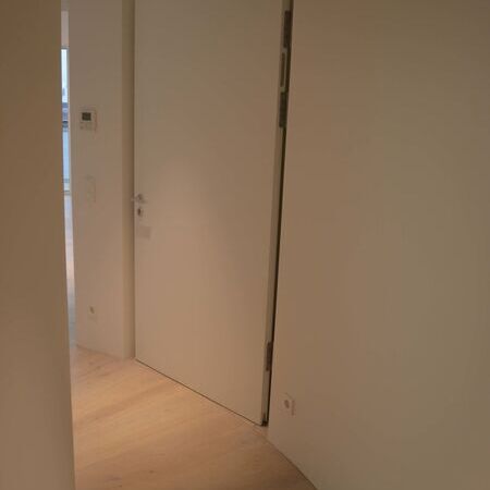 Moderne Brandschutztür mit minimalistischer Ästhetik